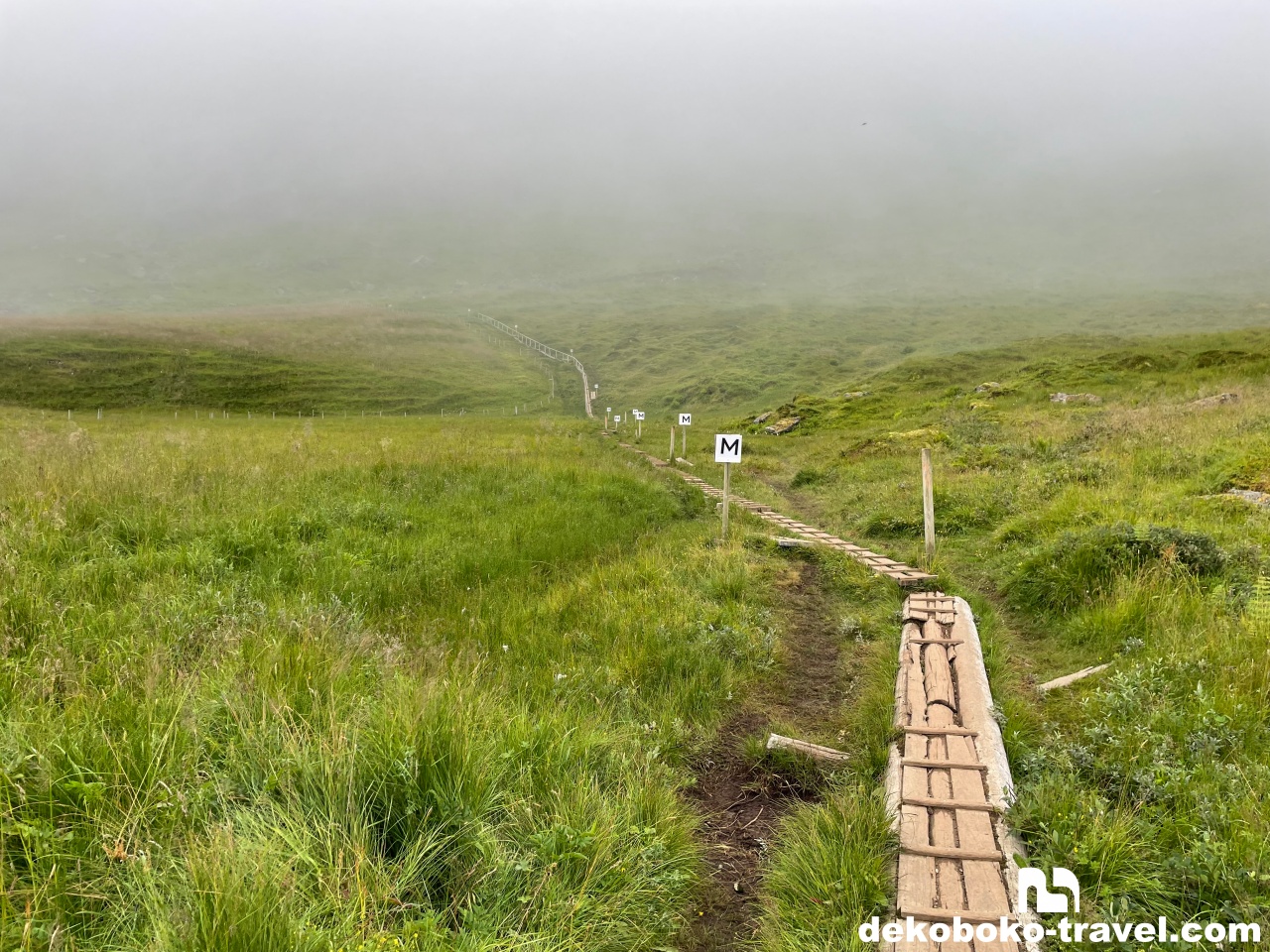 駐車場からの登山道。Mのマークはすれ違うためのスペース