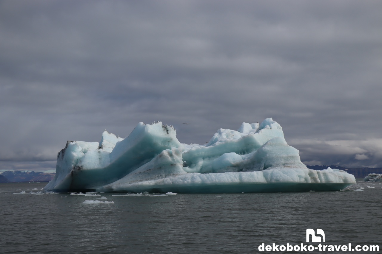 氷山の上には沢山の鳥が止まっていた