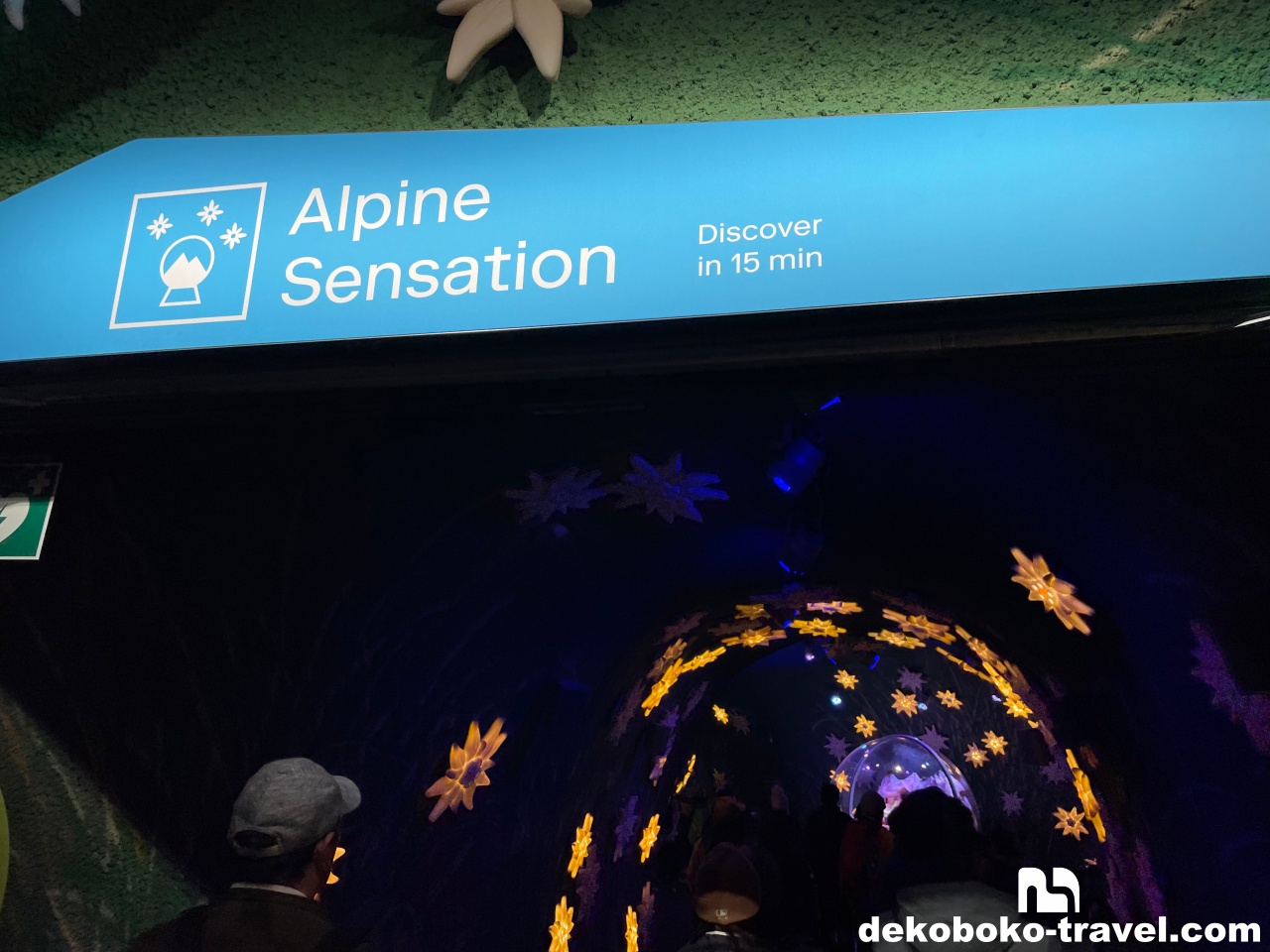 アルパインセンセーションエリア