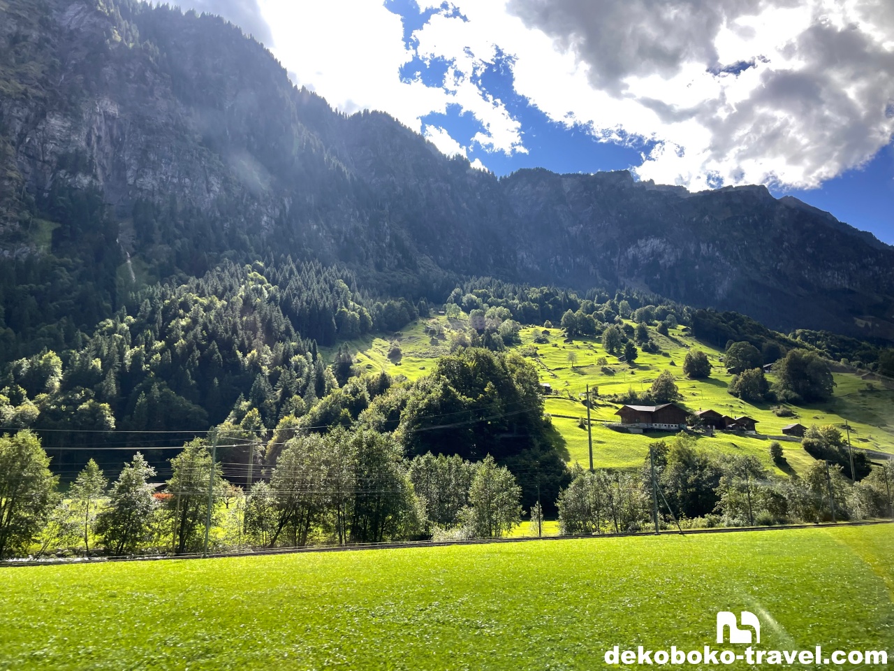 緑の多い景色を進む